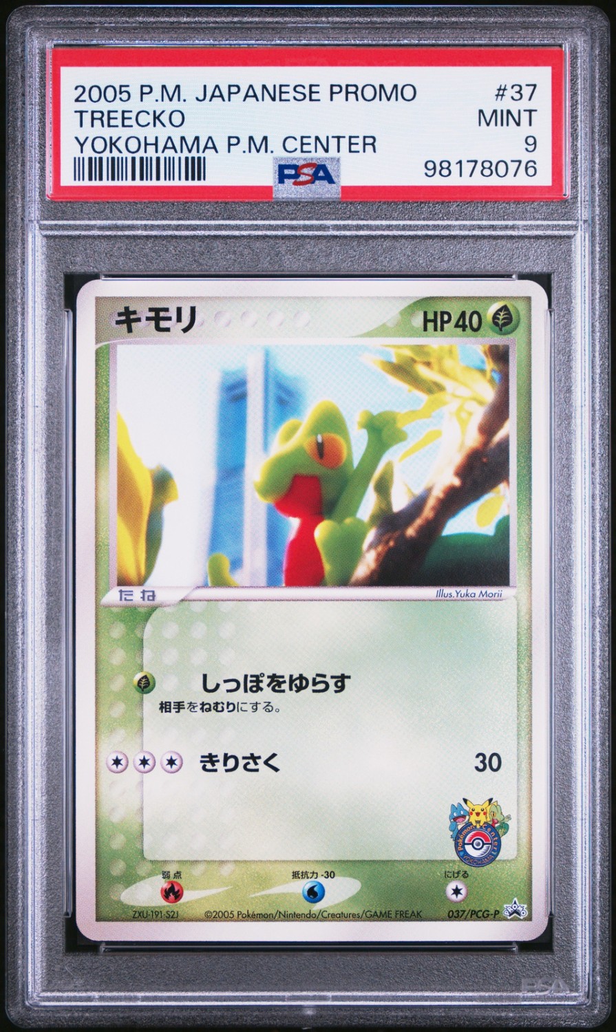 Treecko