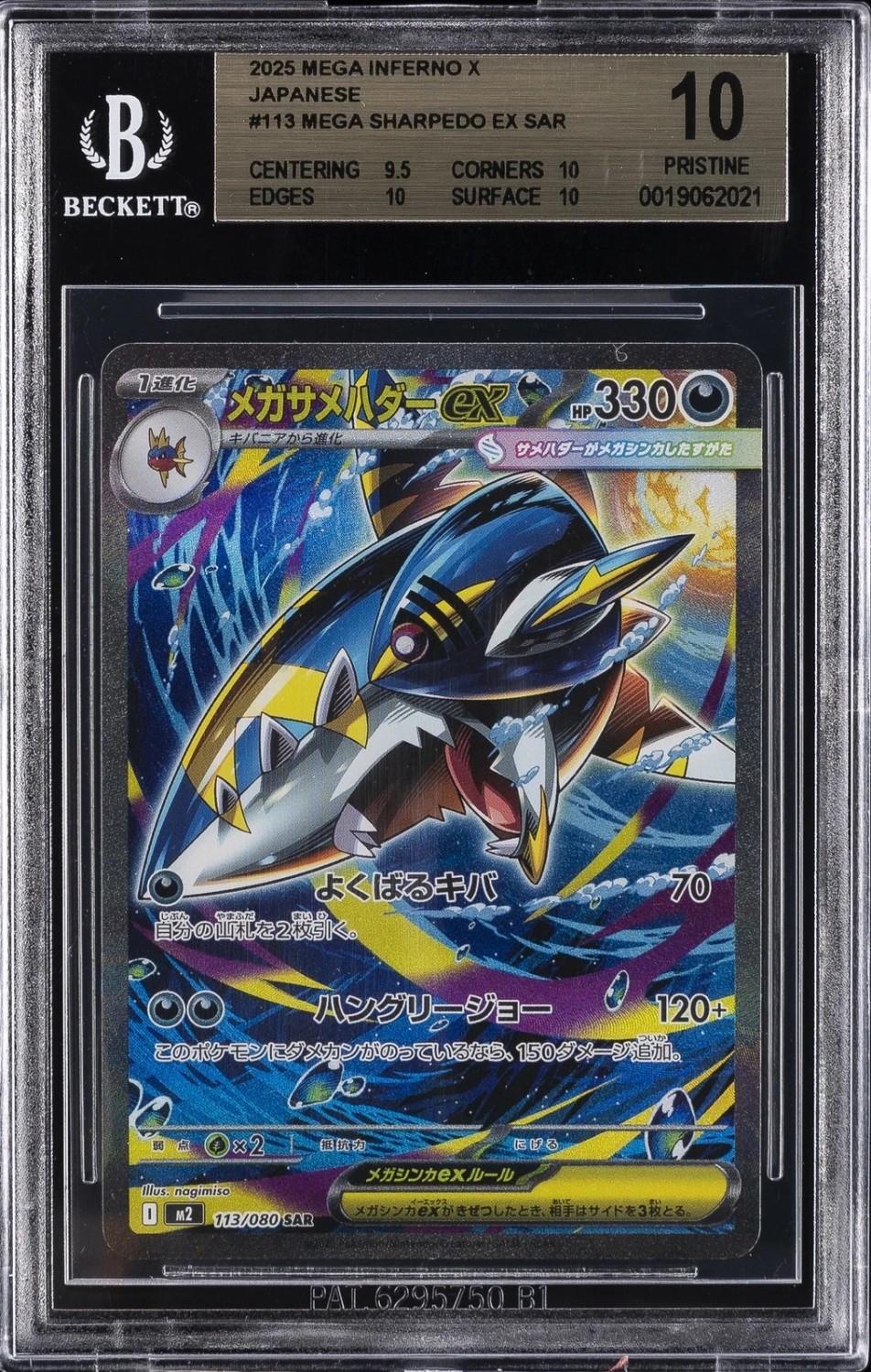 MEGA SHARPEDO ex