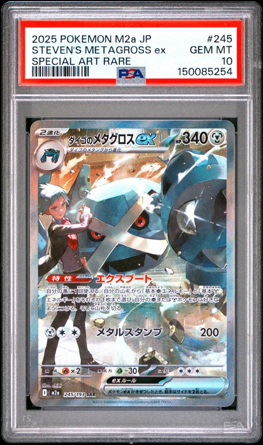 STEVEN'S METAGROSS ex