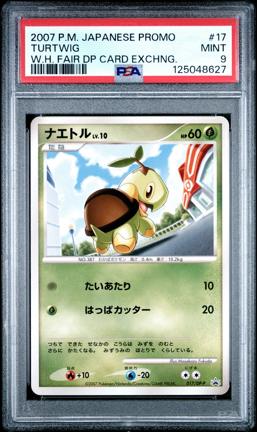 Turtwig