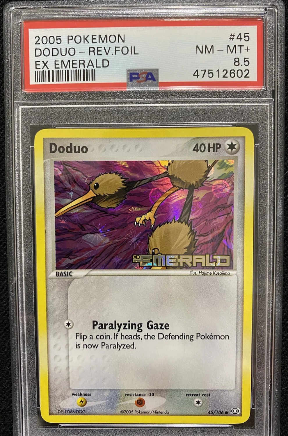 Doduo
