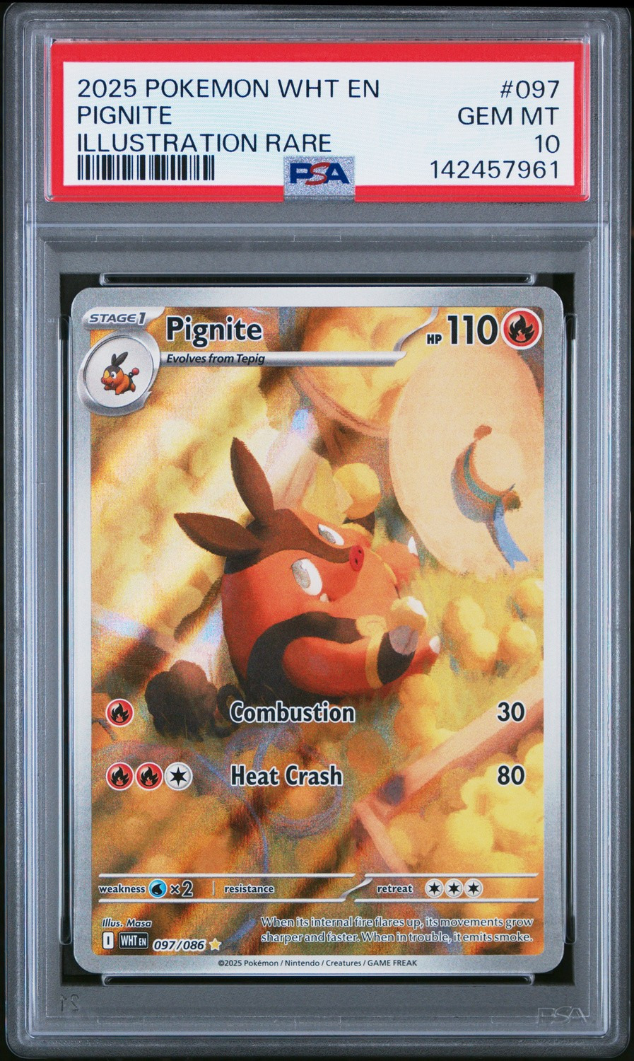 Pignite