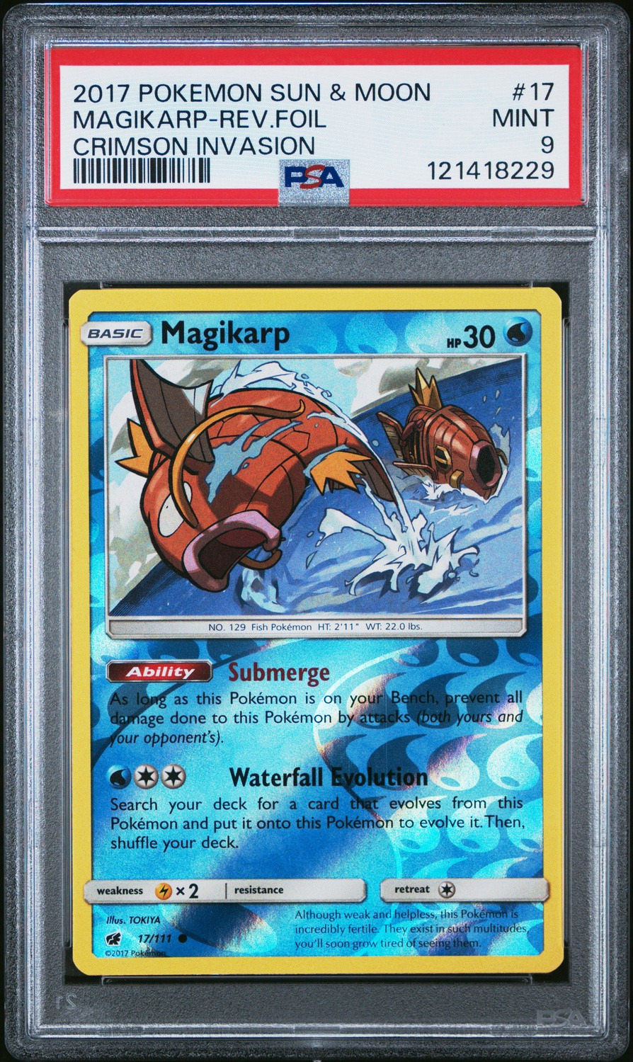 Magikarp