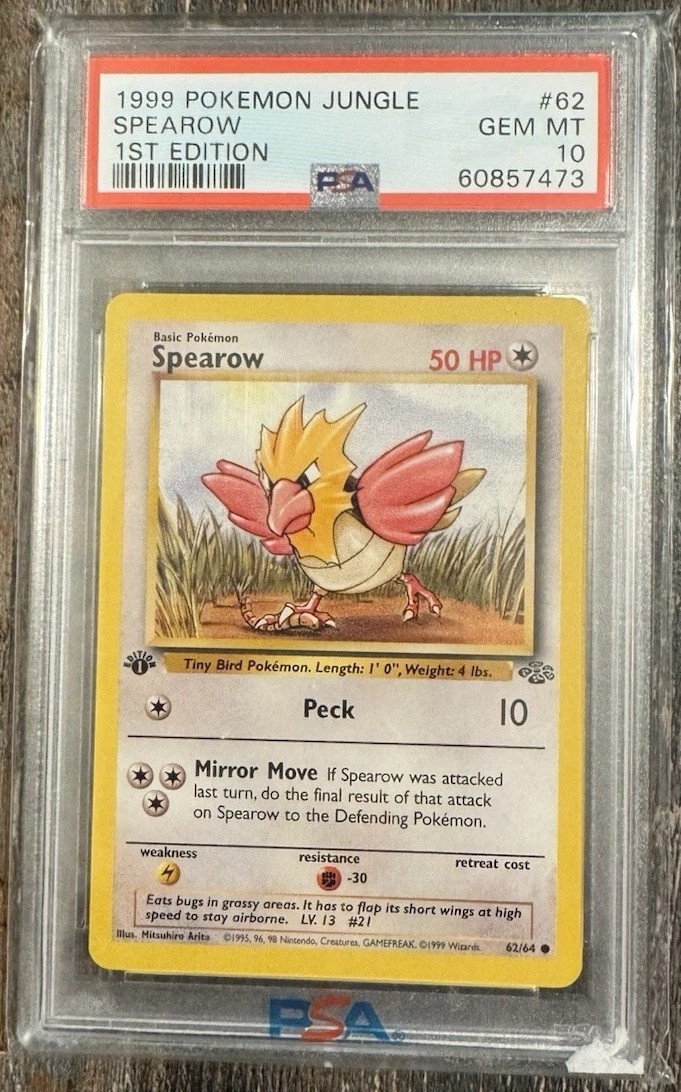 Spearow