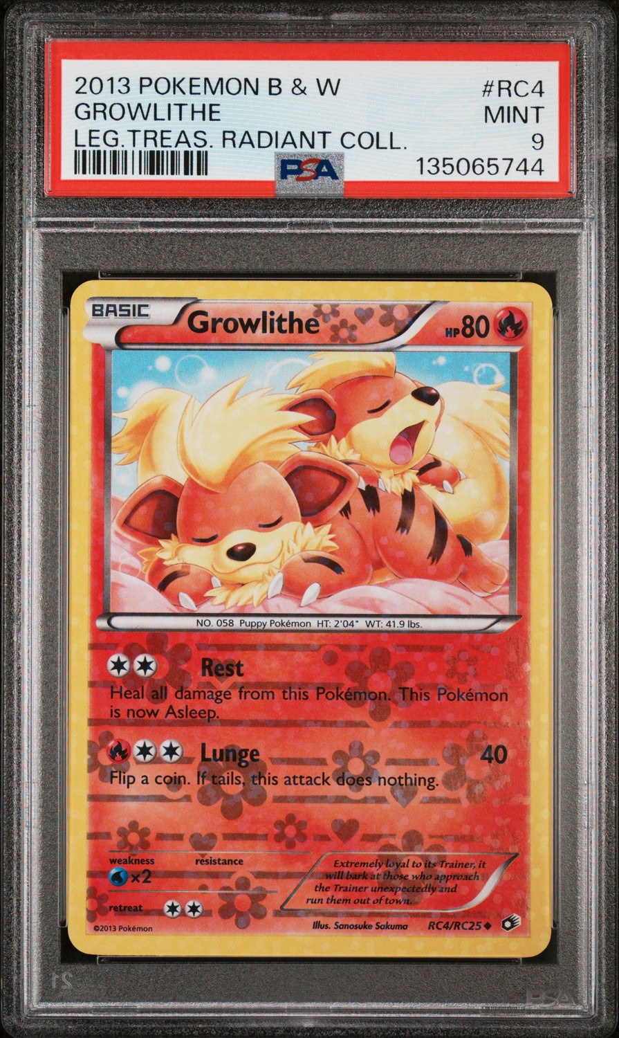 Growlithe
