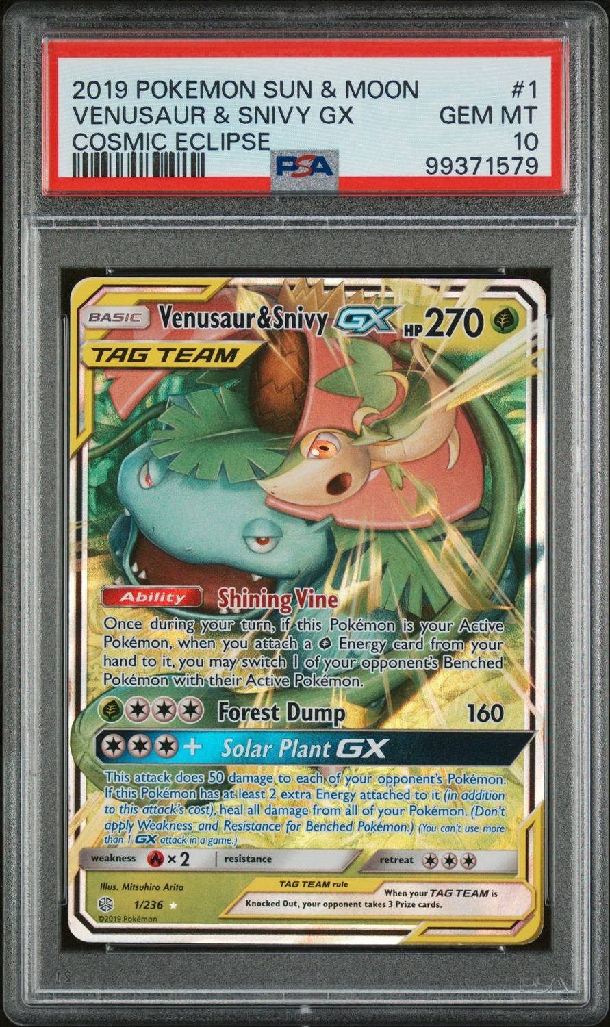 Venusaur & Snivy GX