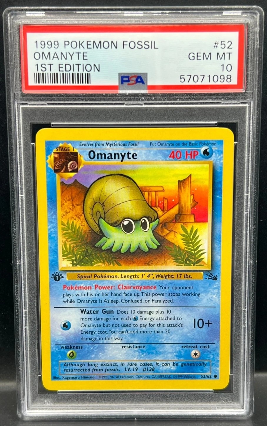 Omanyte