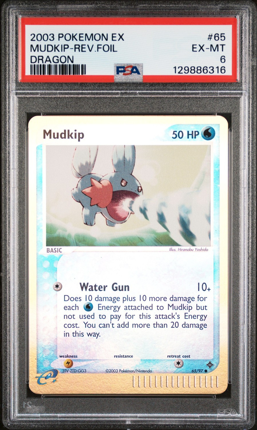 Mudkip