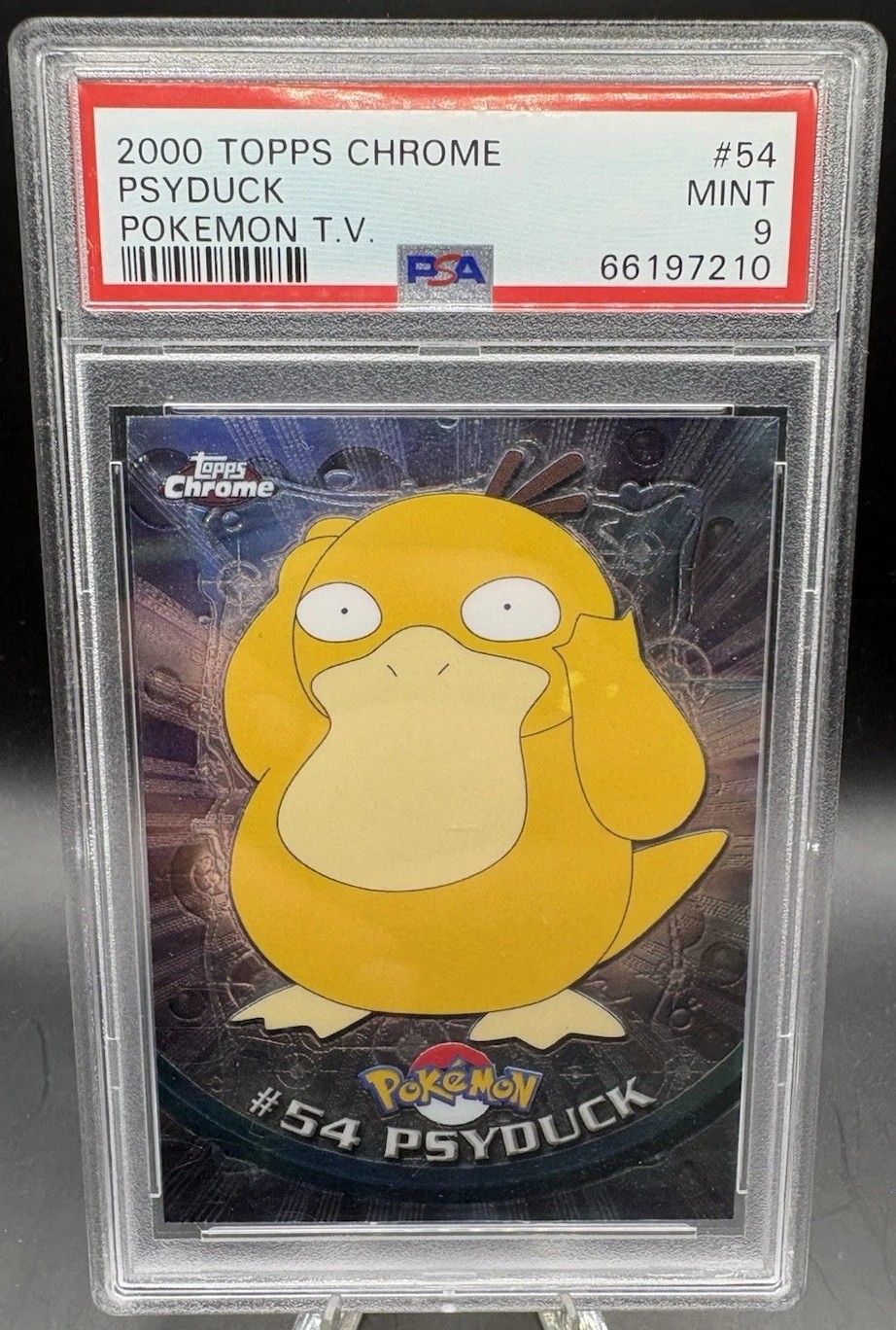 Psyduck