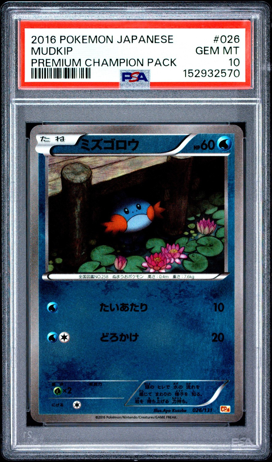 Mudkip