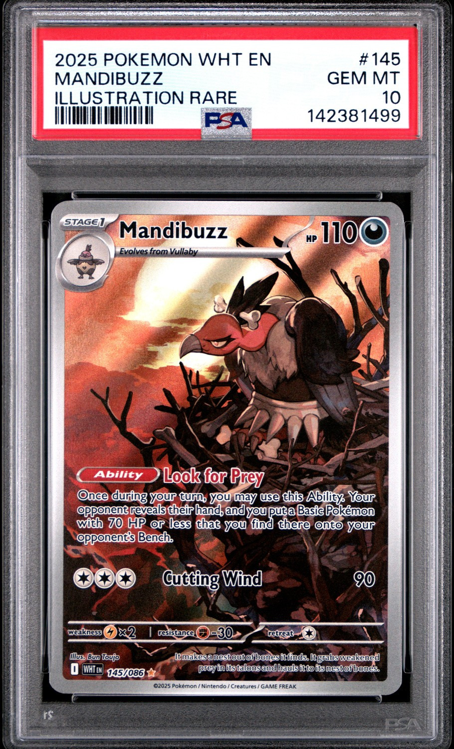 Mandibuzz