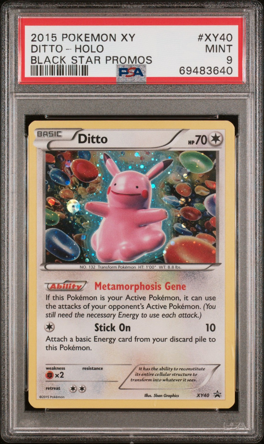 Ditto