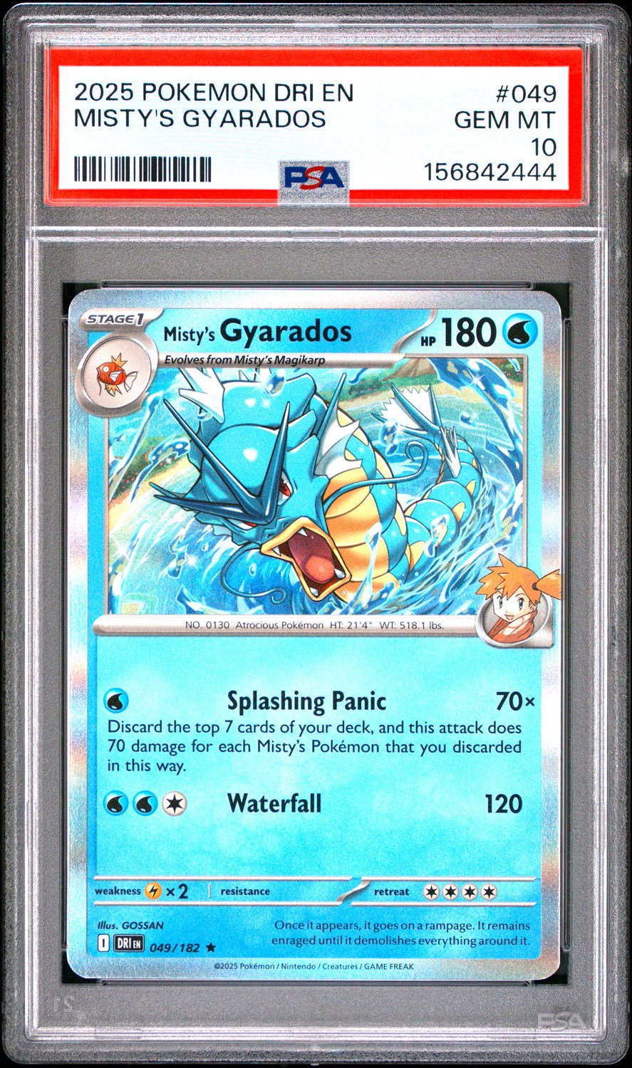 Misty's Gyarados