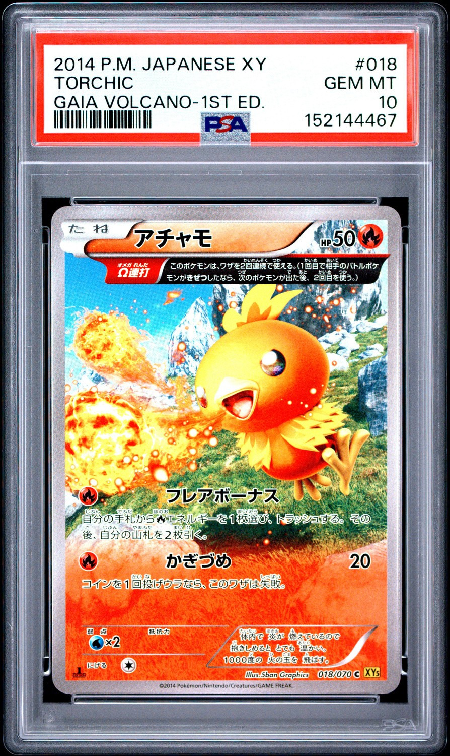 Torchic