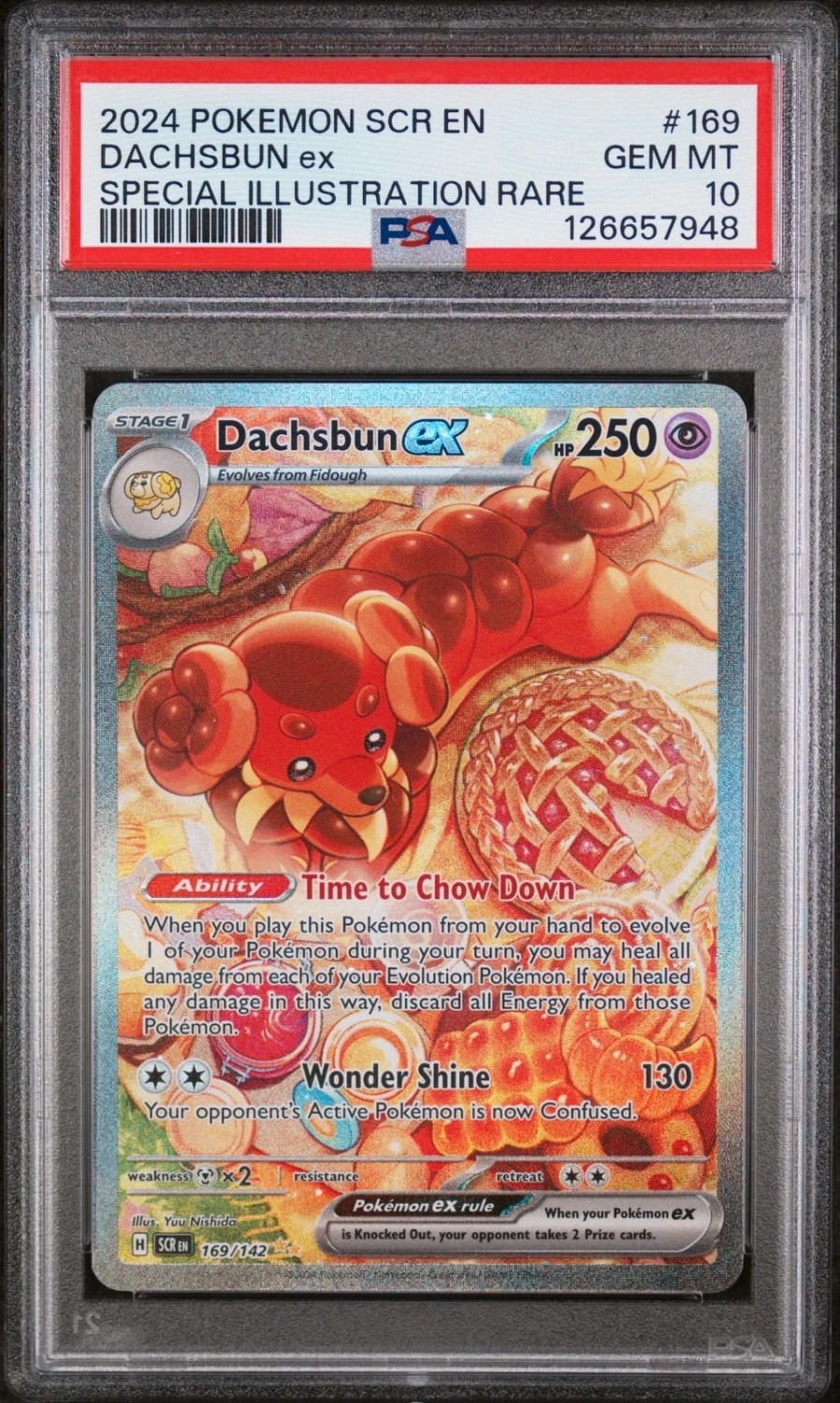 DACHSBUN ex