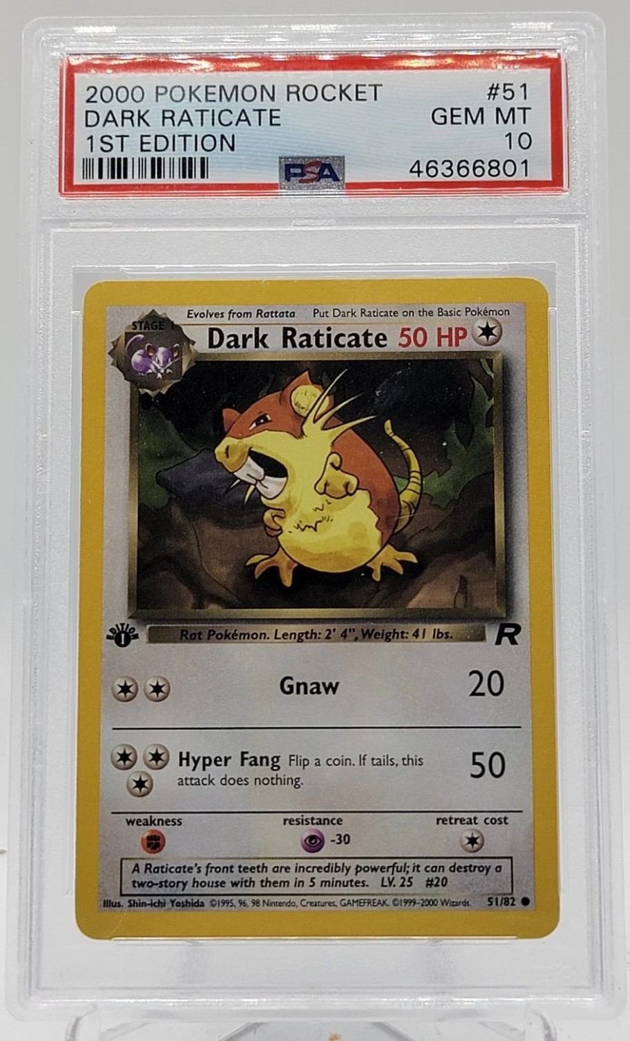 Dark Raticate
