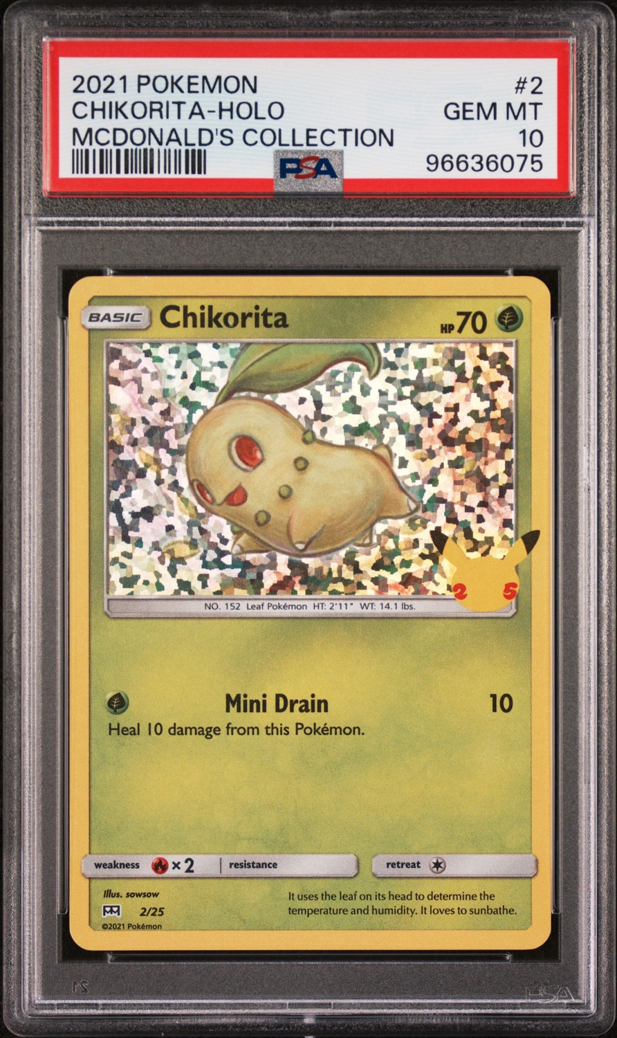 Chikorita