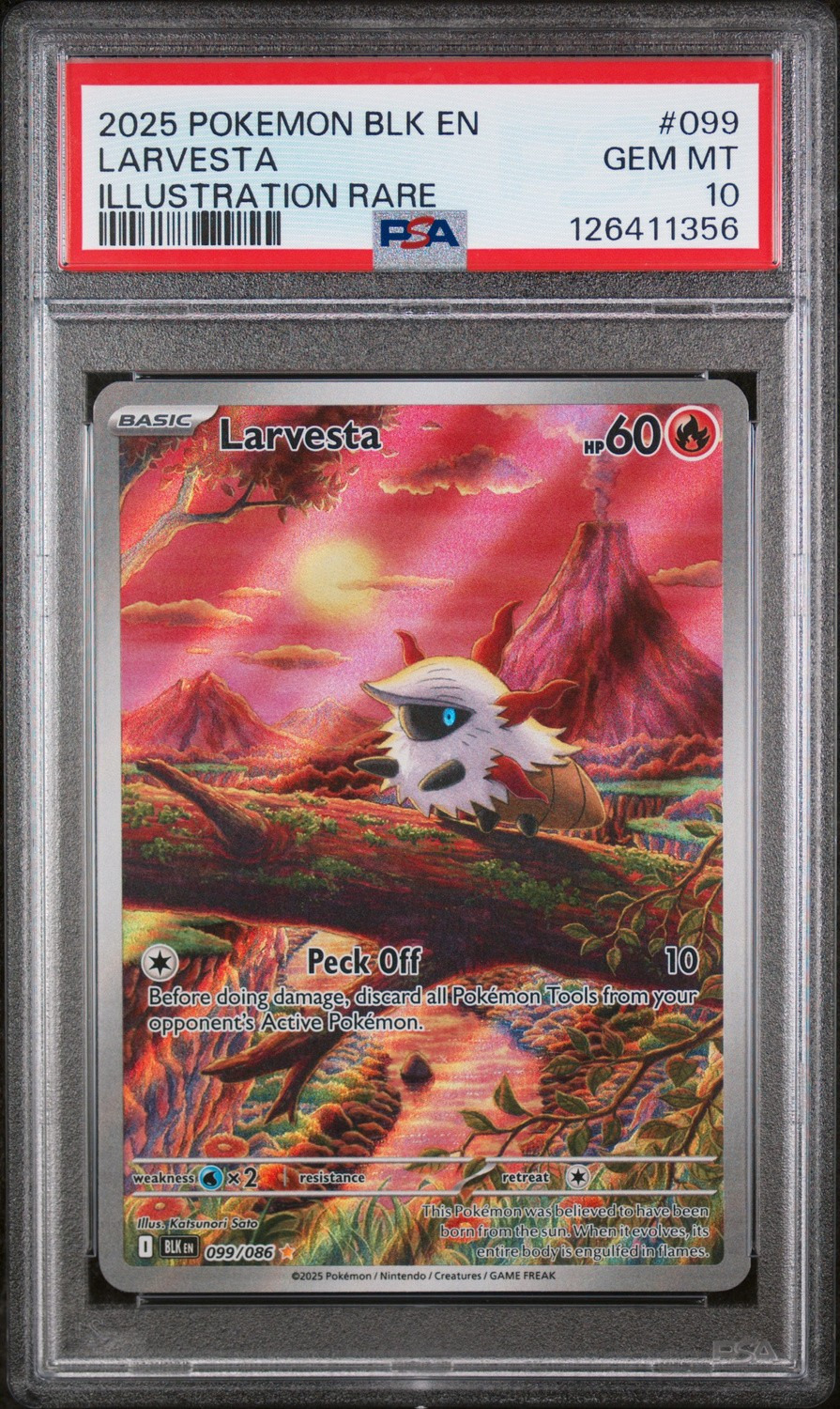 Larvesta