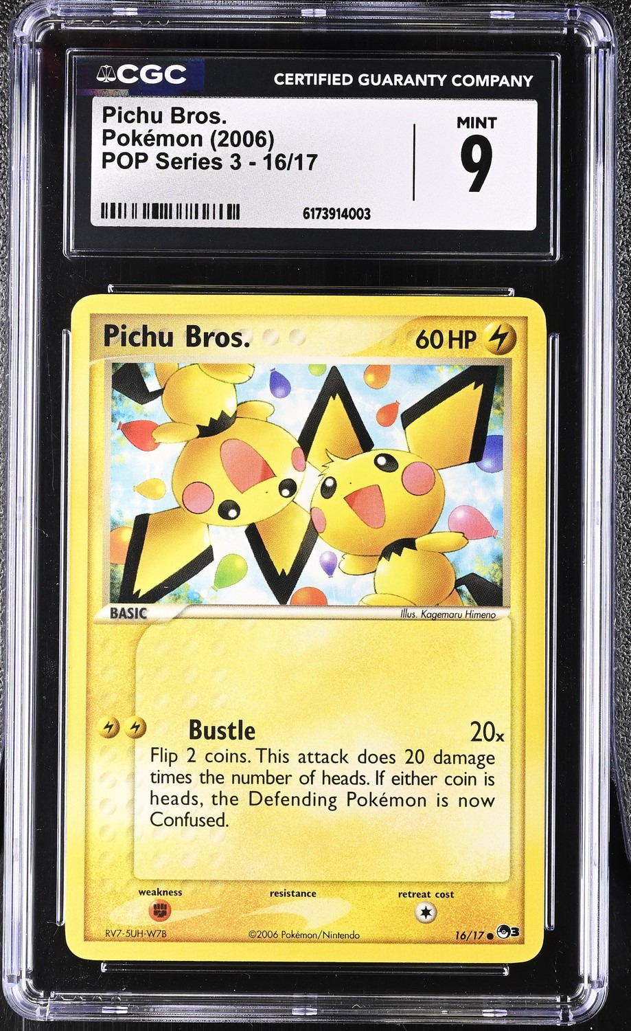 Pichu Bros