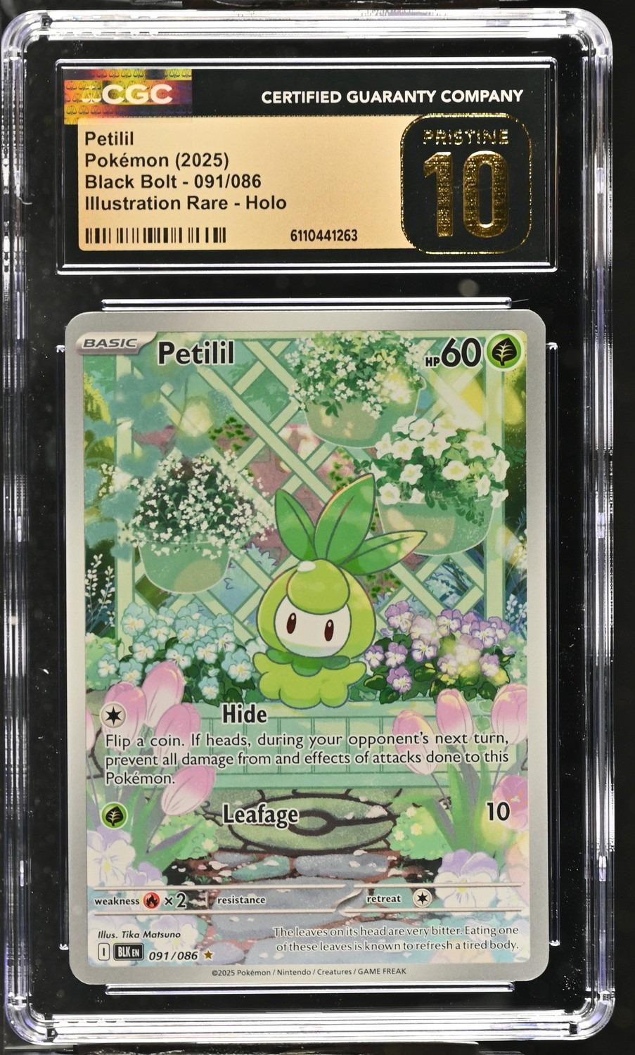 Petilil