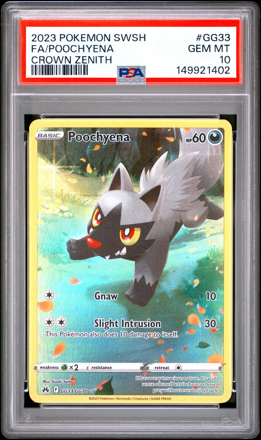 Poochyena