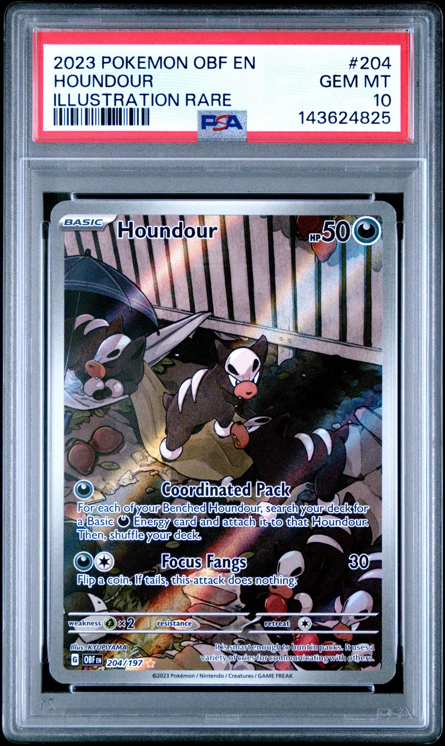 Houndour