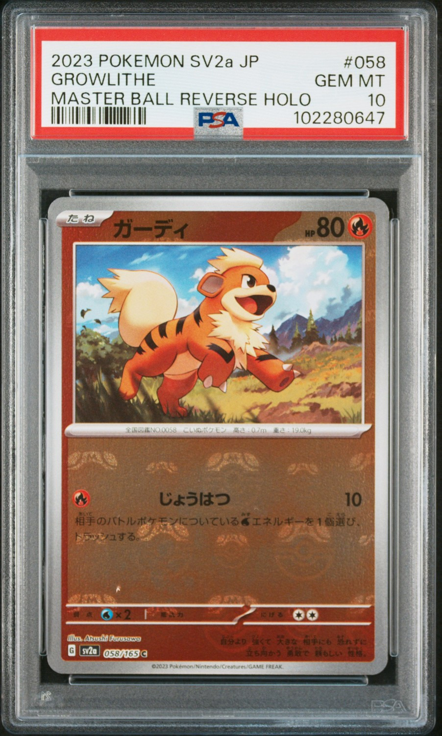 Growlithe C