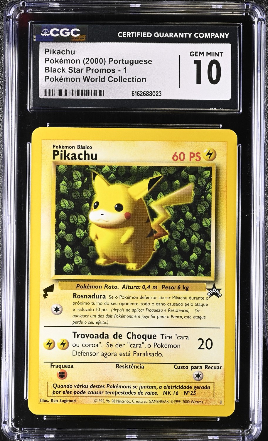 Ivy Pikachu