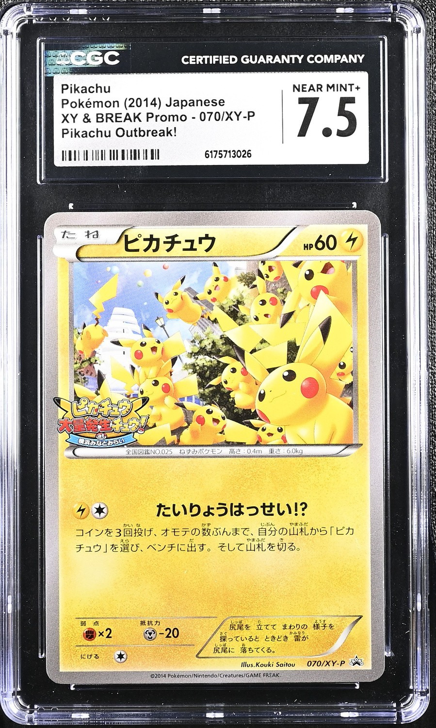 Pikachu Outbreak!