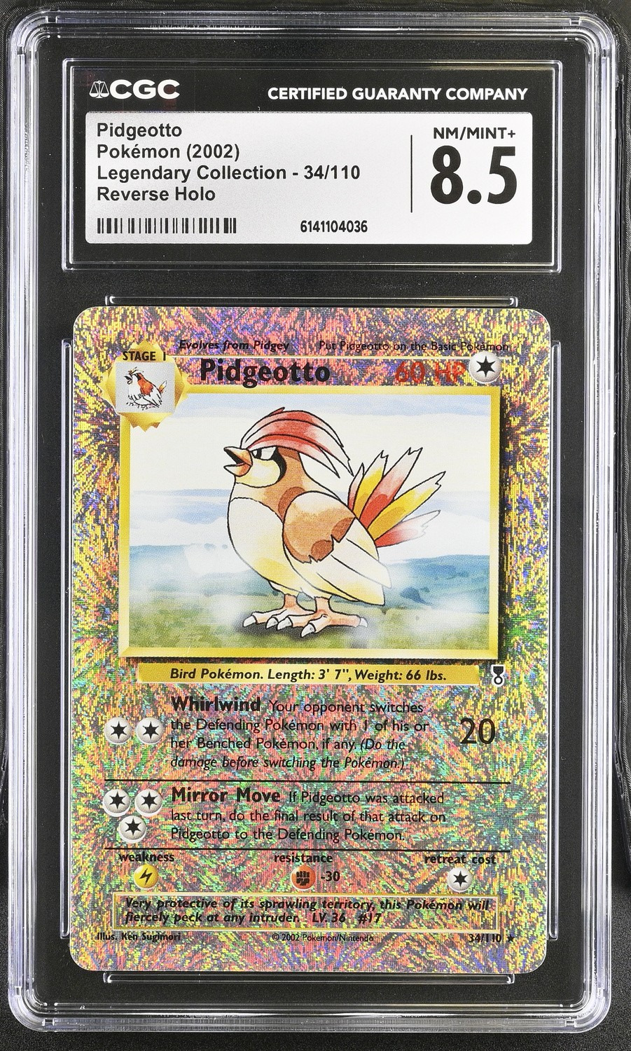 Pidgeotto