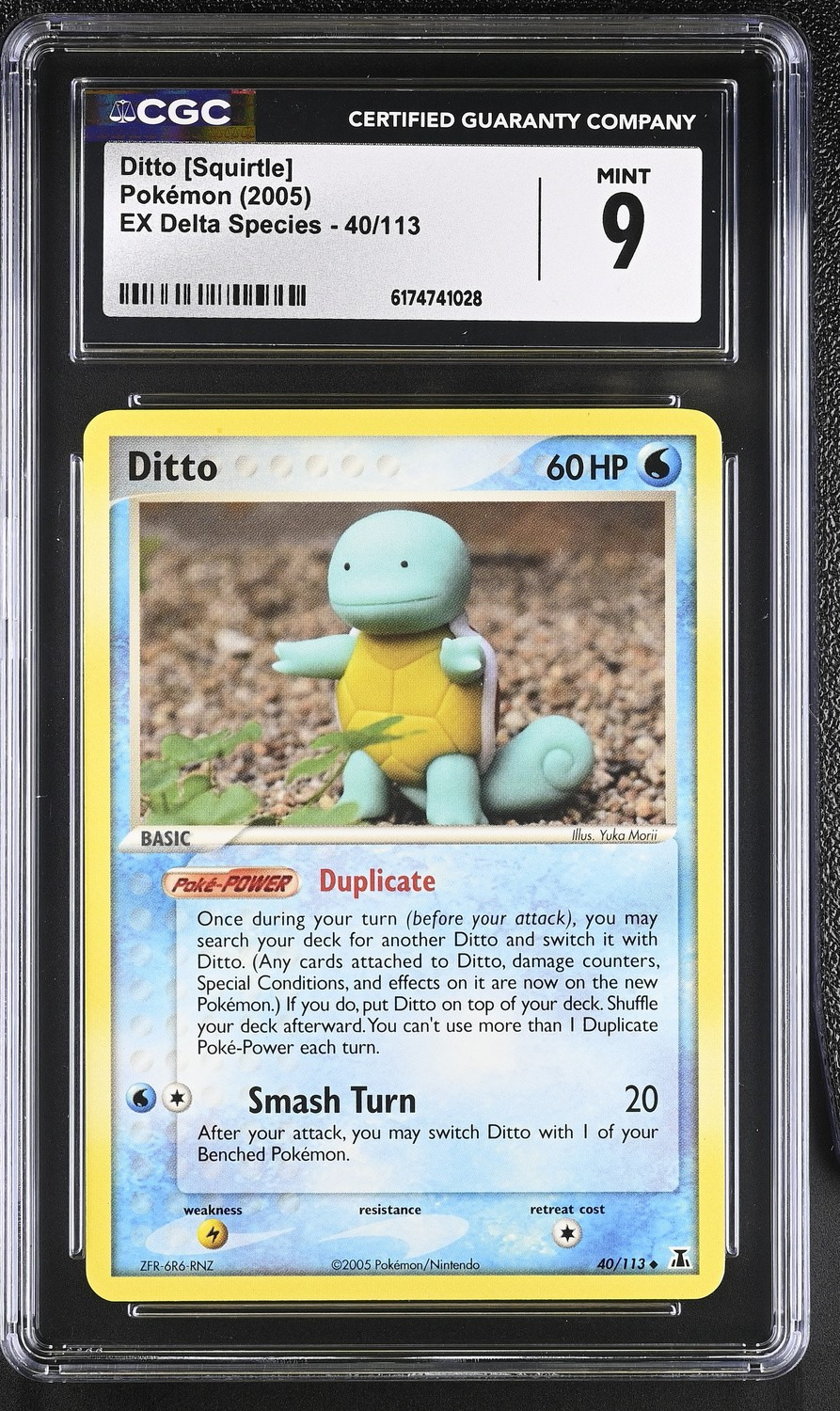 Ditto [Squirtle]