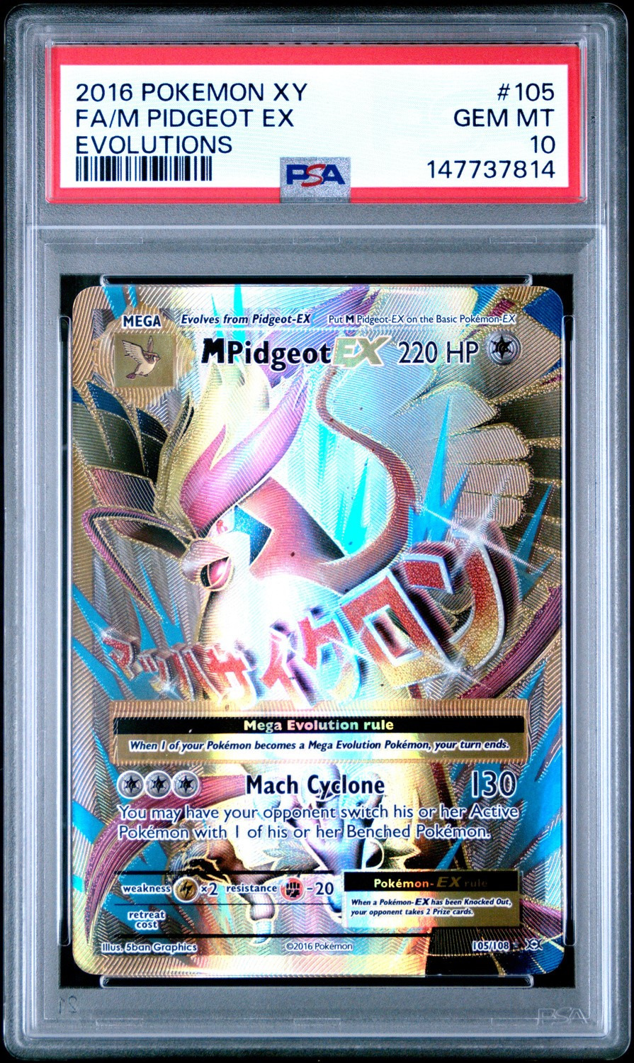 M Pidgeot EX