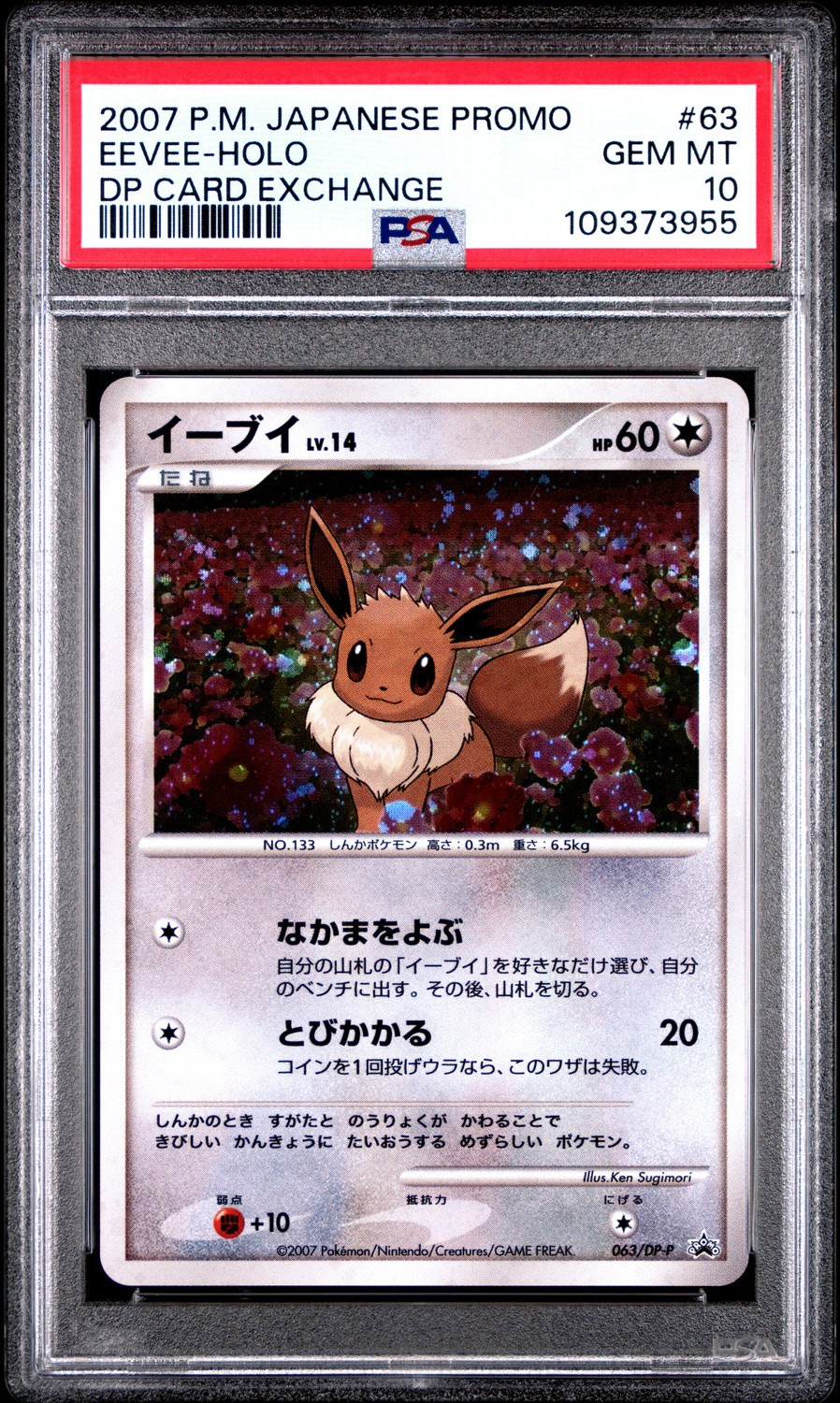 Eevee