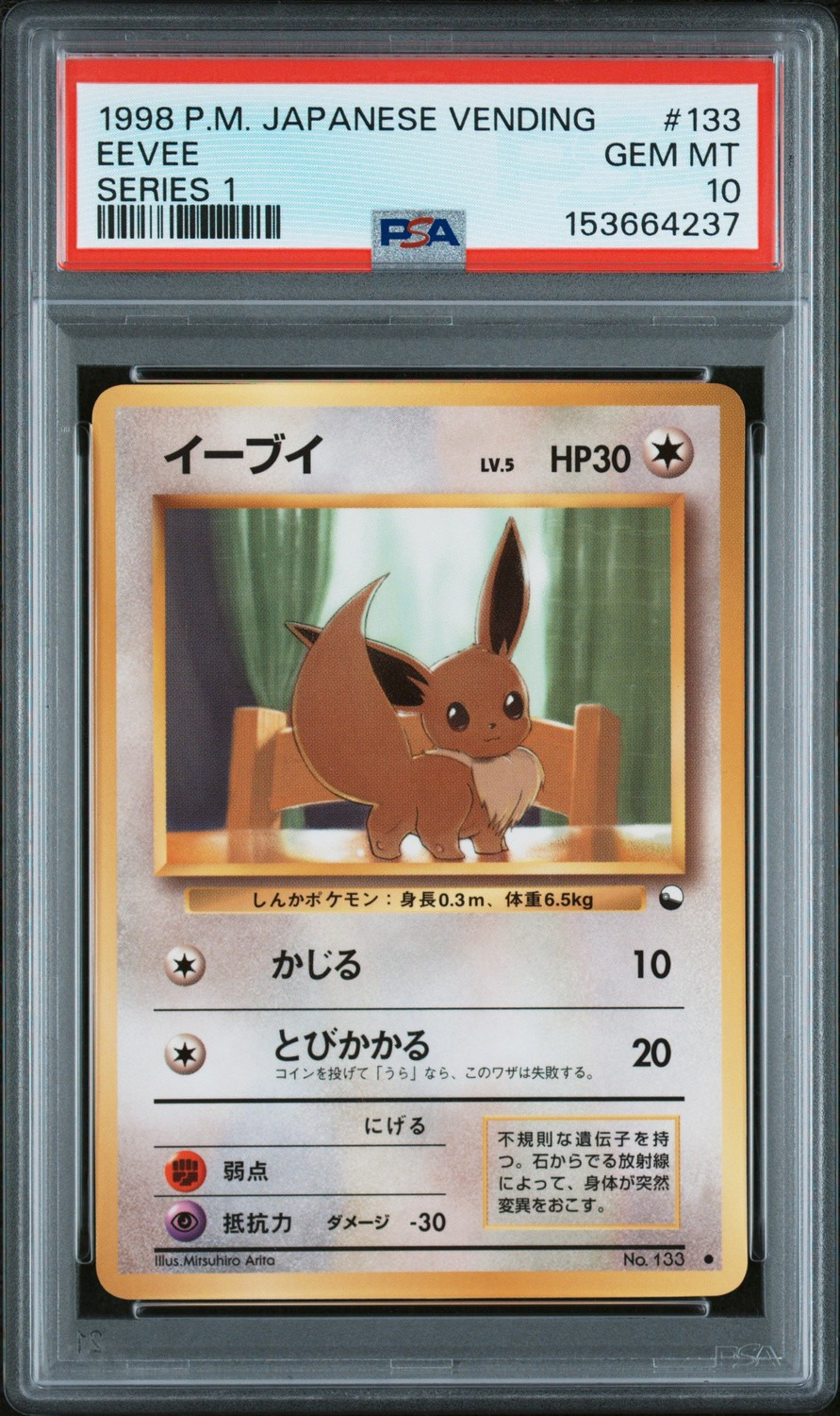 Eevee