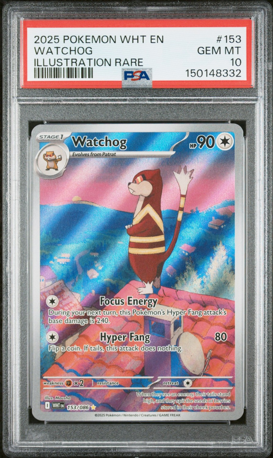 Watchog