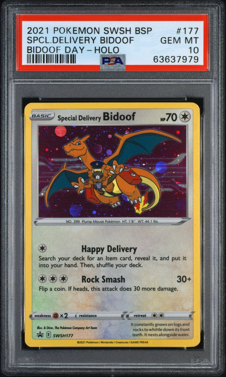 Special Delivery Bidoof