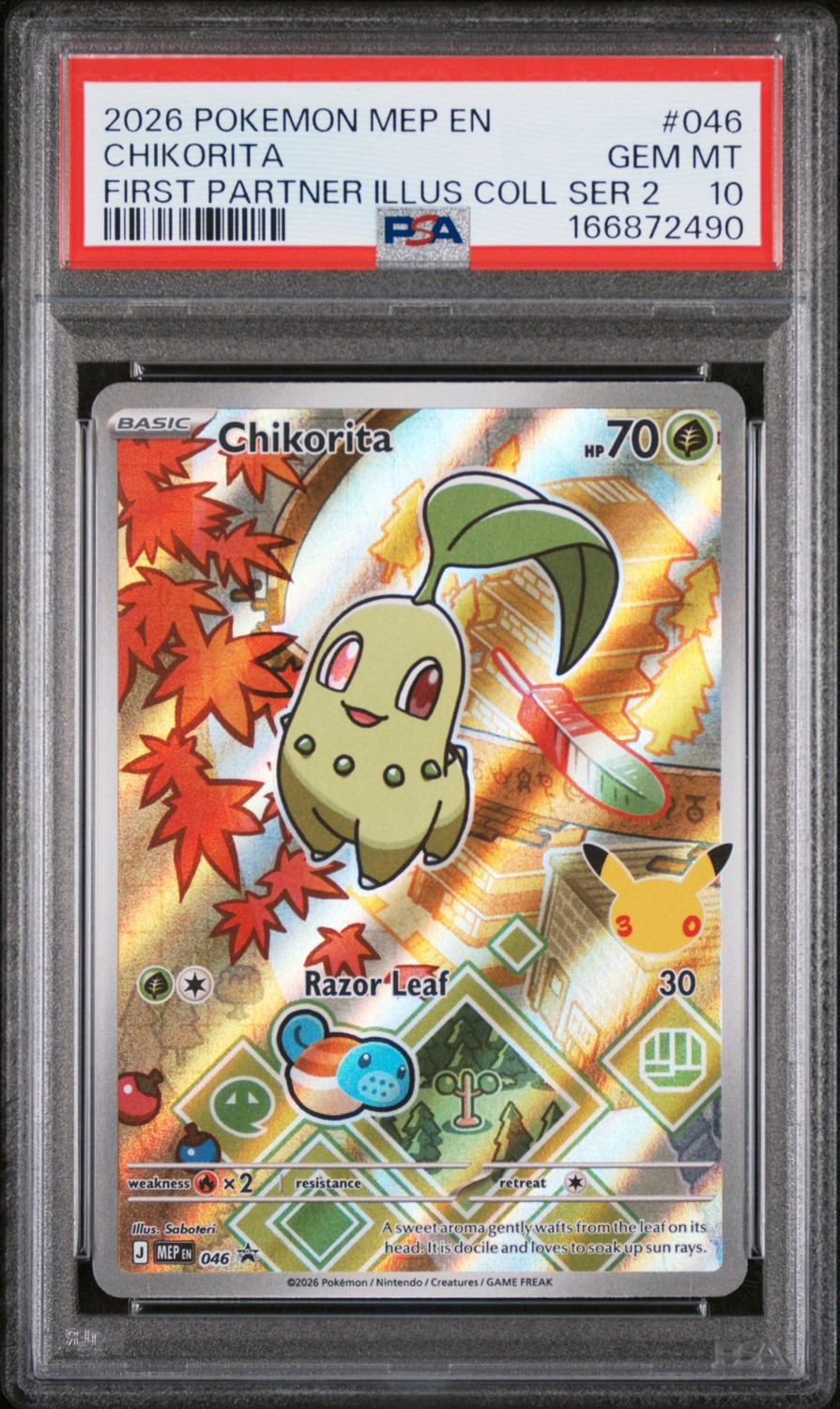 Chikorita