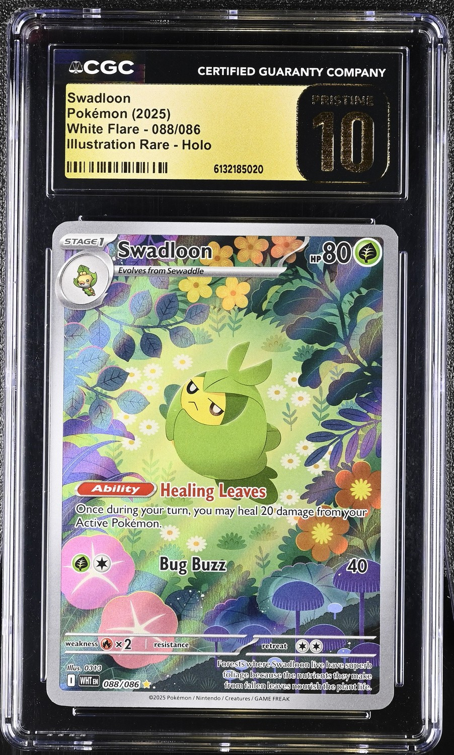 Swadloon