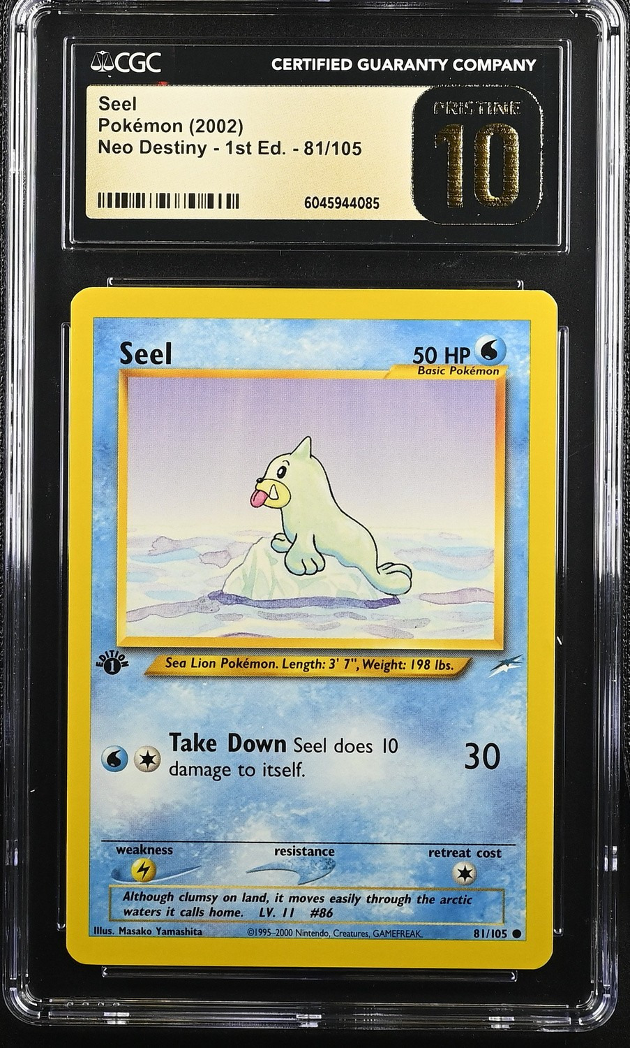 Seel