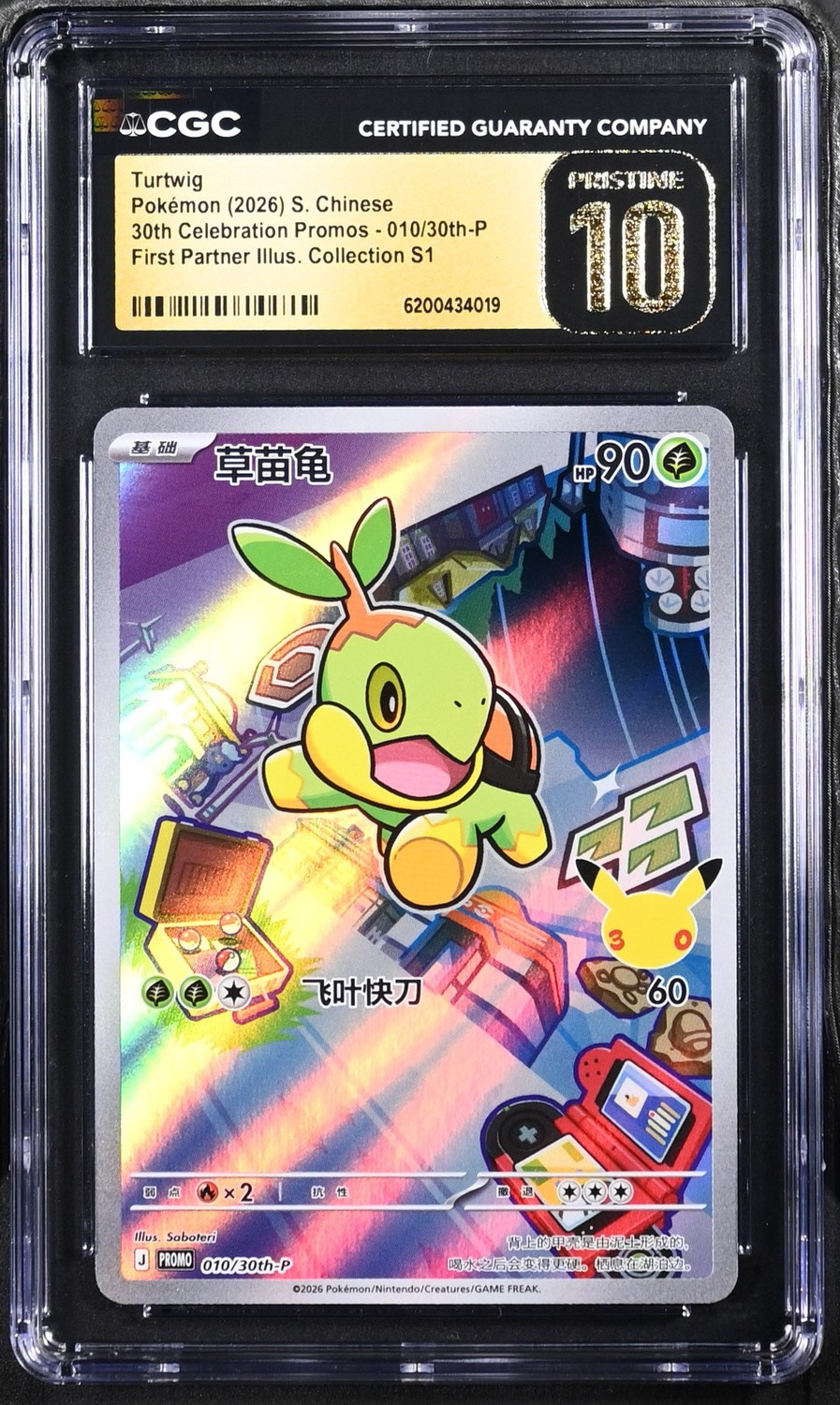 Turtwig