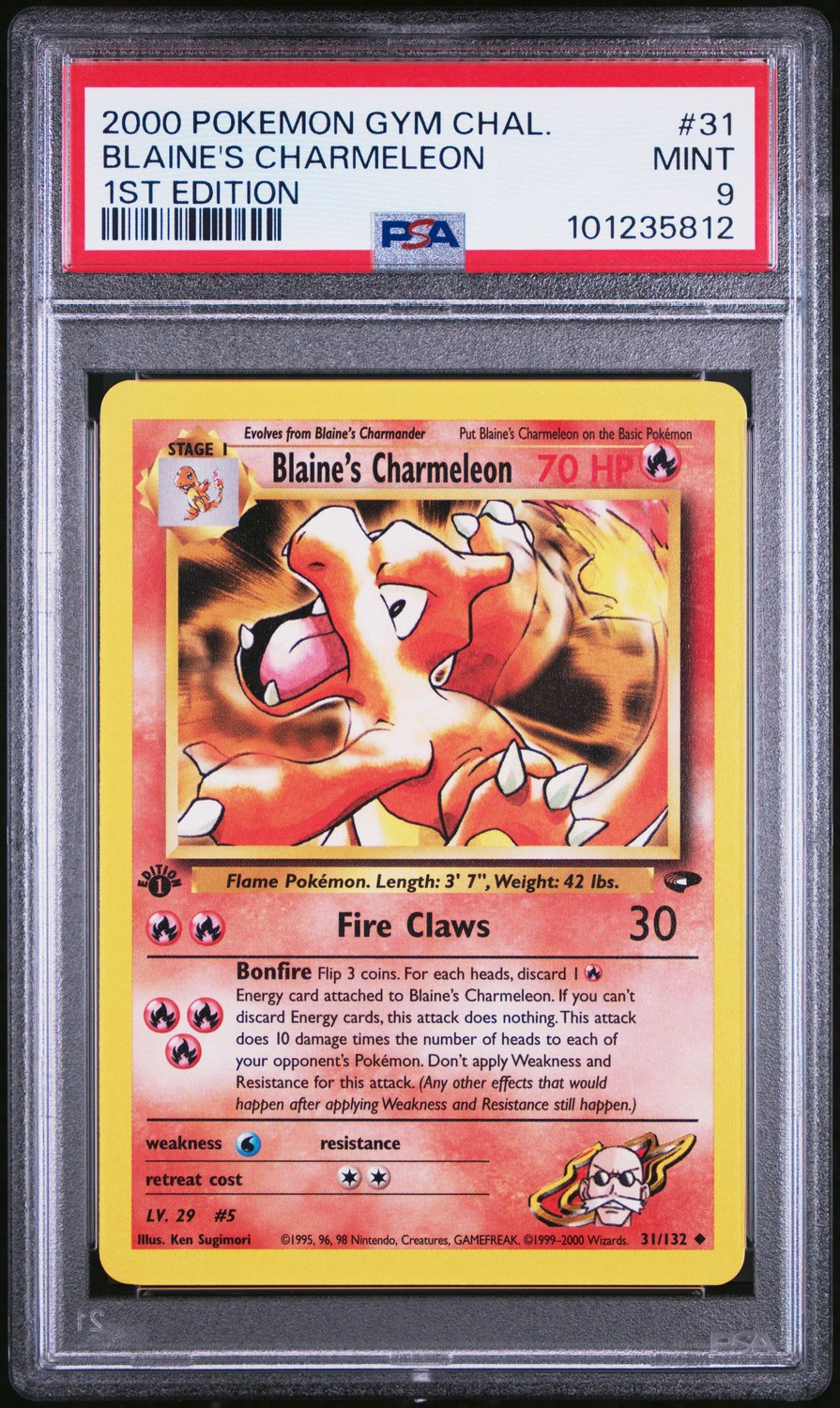 Blaine's Charmeleon