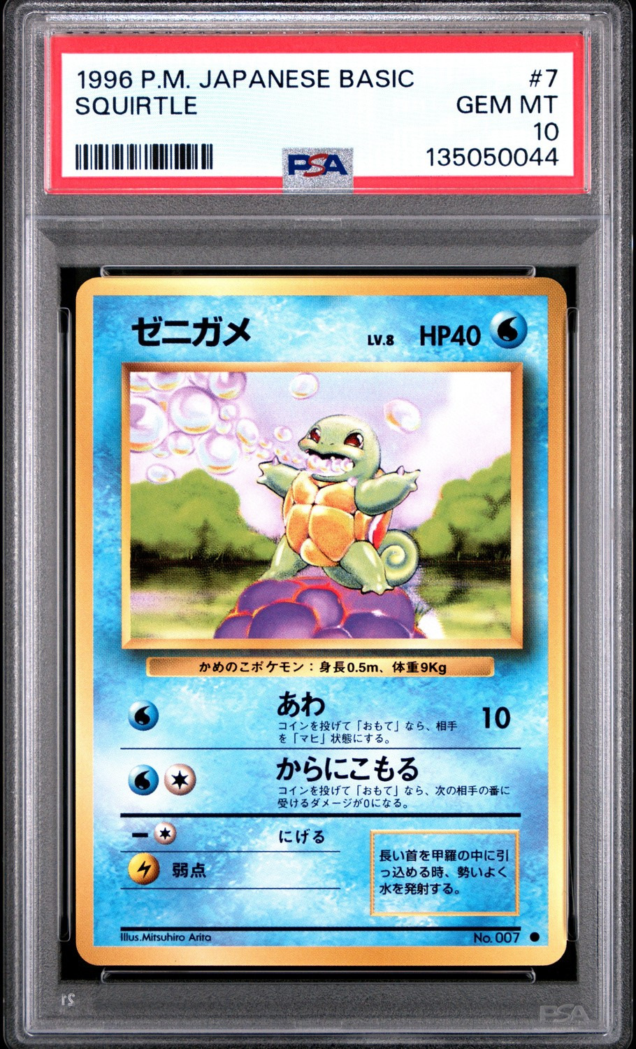 Squirtle