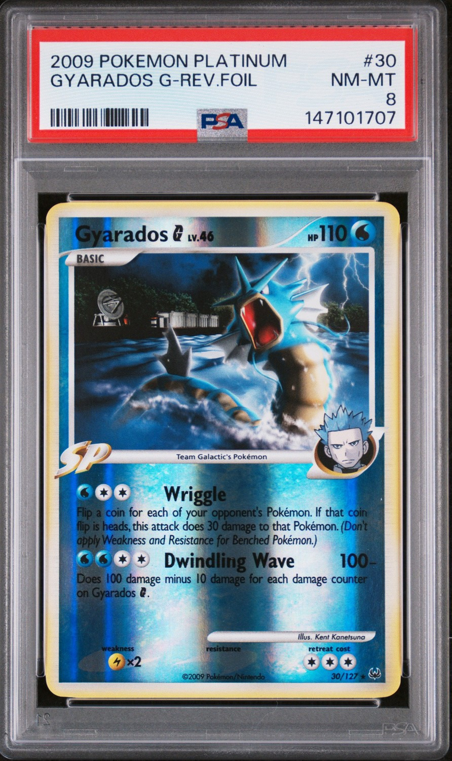 Gyarados G