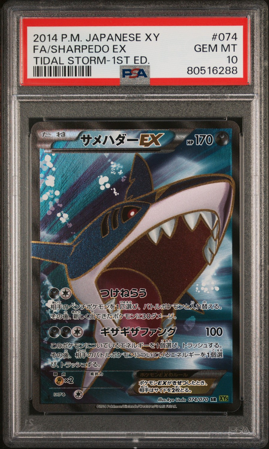 Sharpedo EX