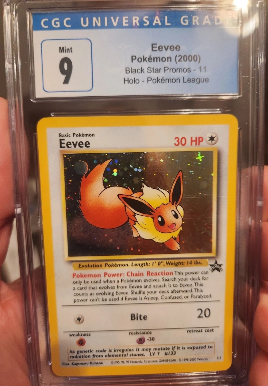 EEVEE