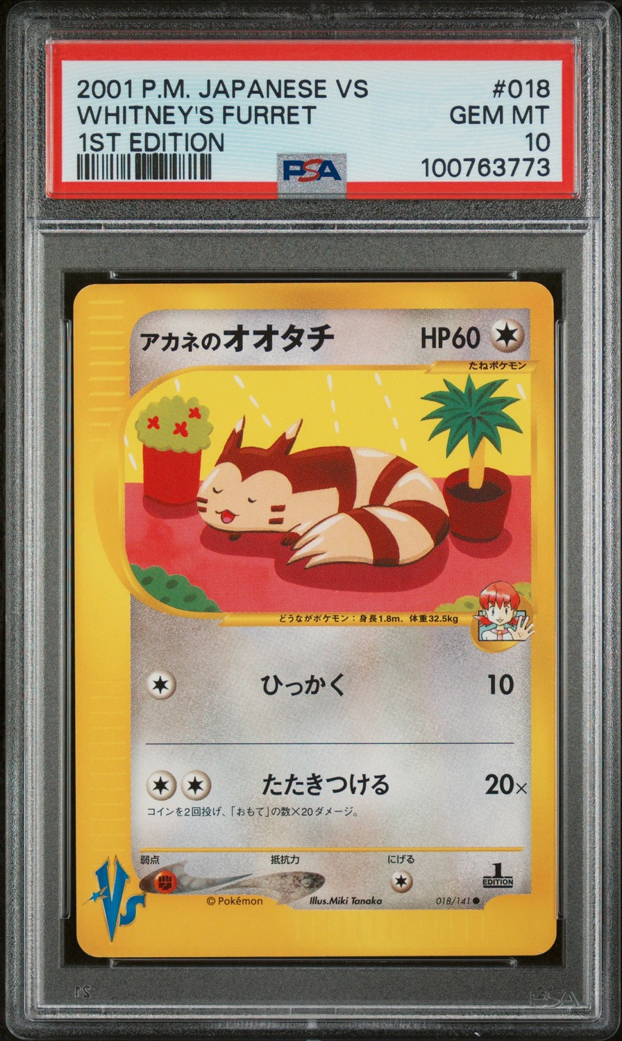 Whitney's Furret