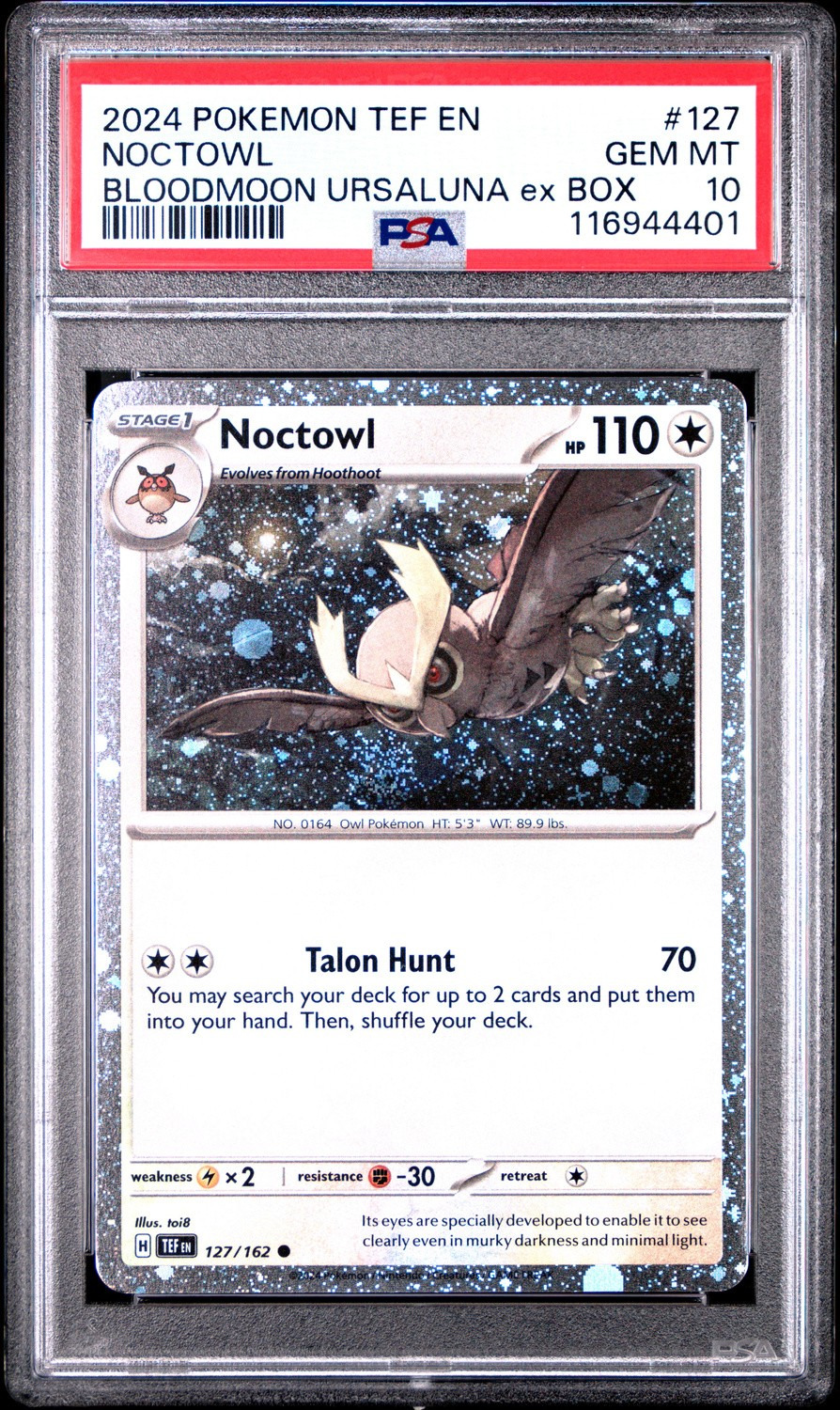 Noctowl