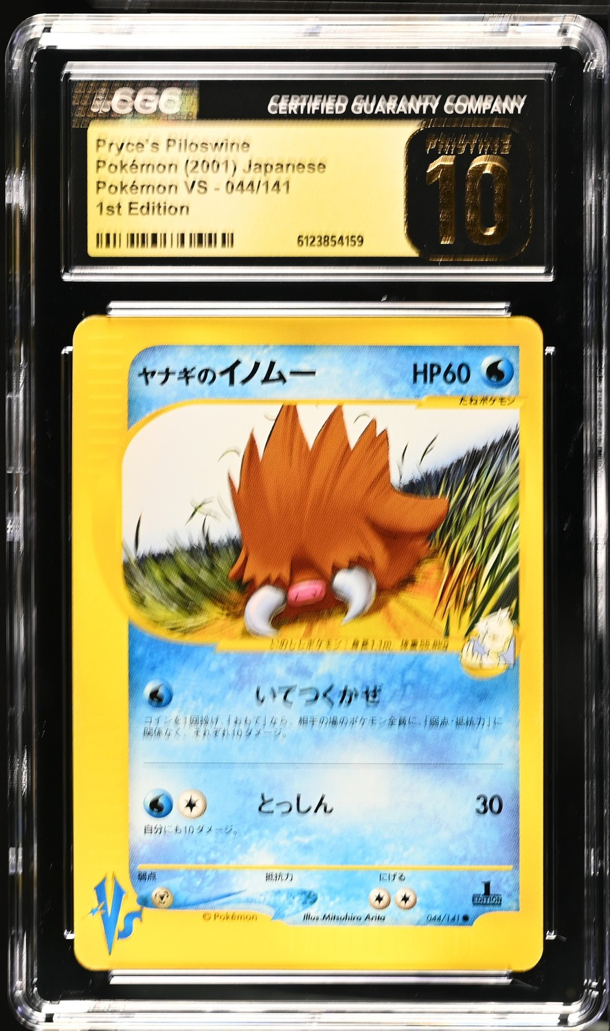 Pryce's Piloswine