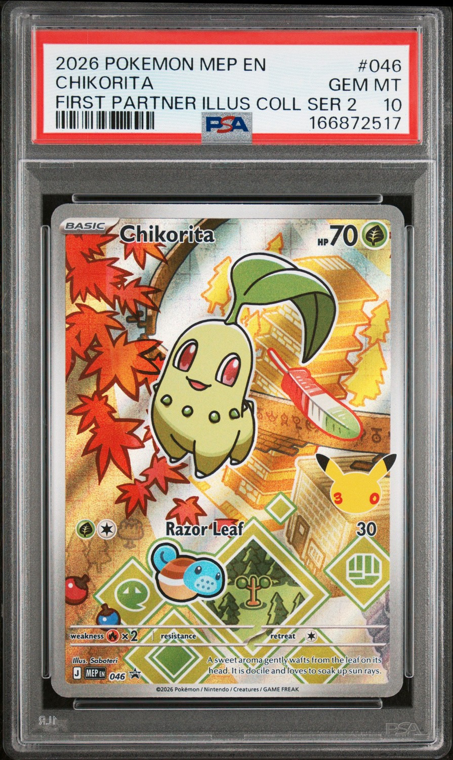 Chikorita