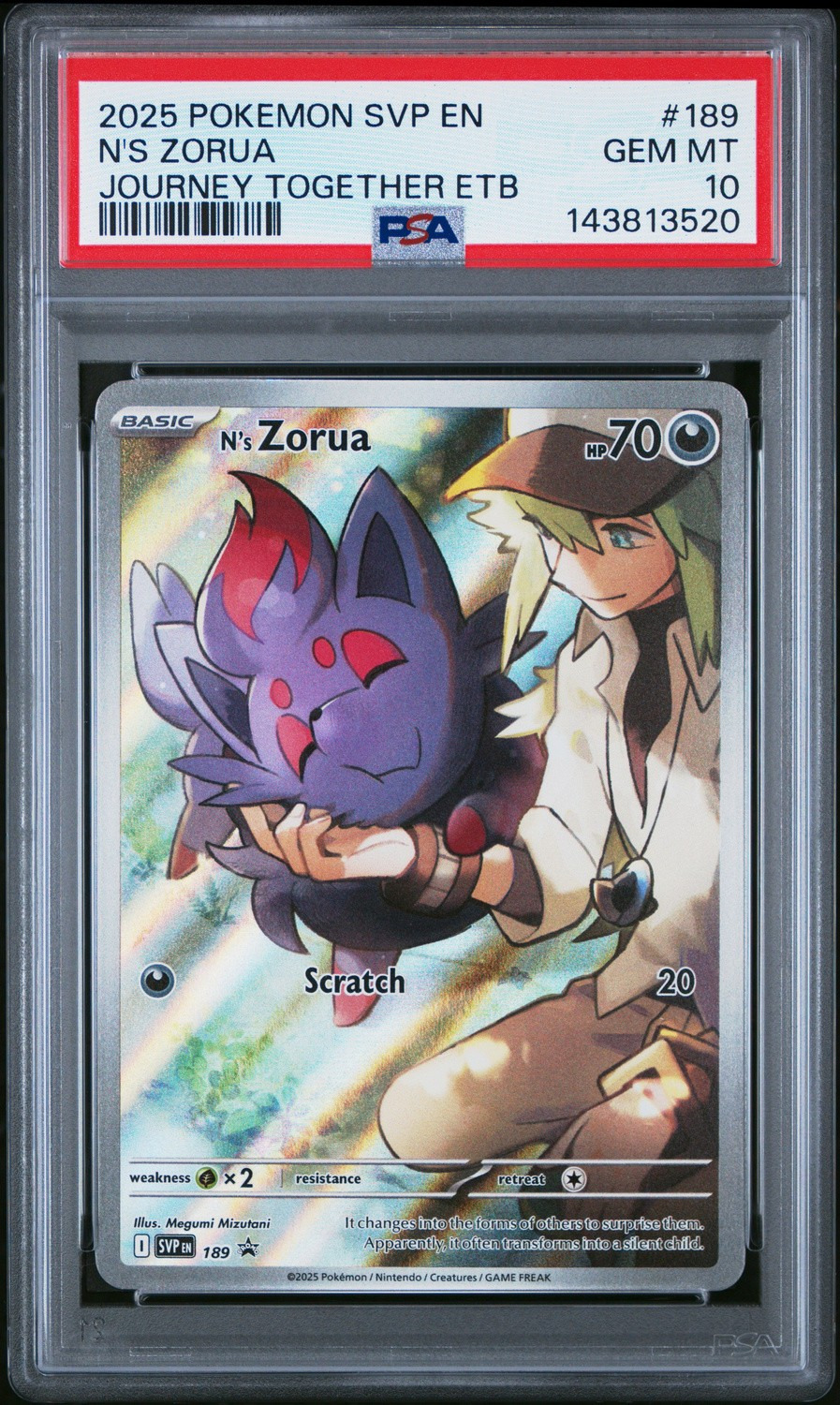 N's Zorua
